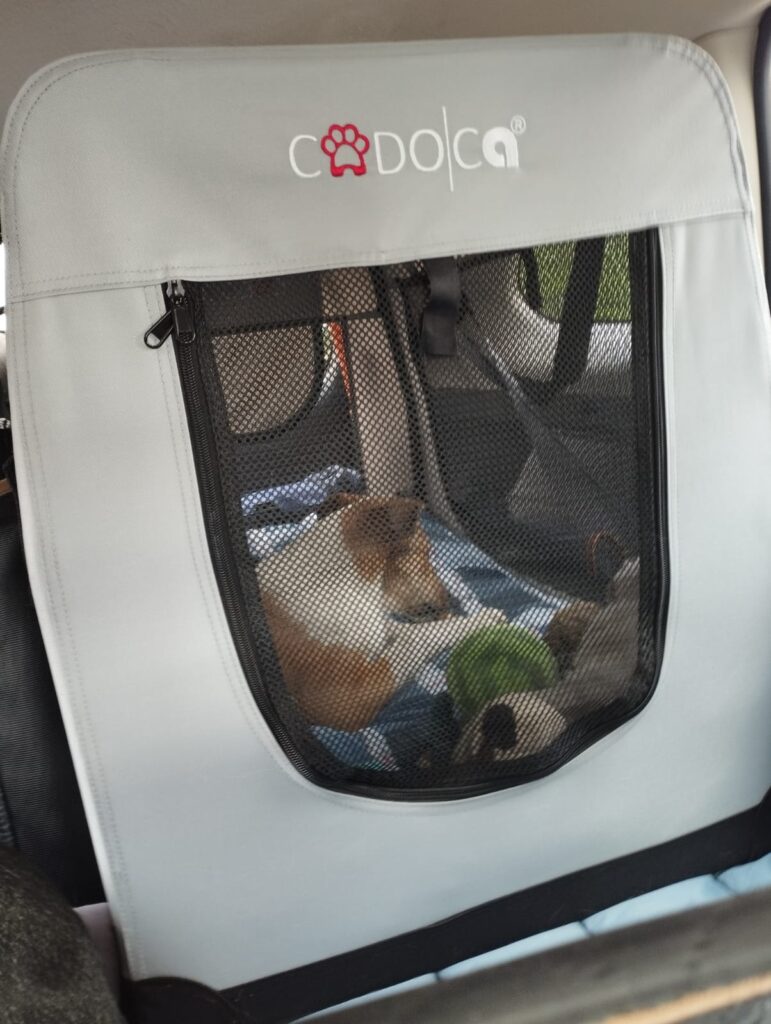 Reav travelling